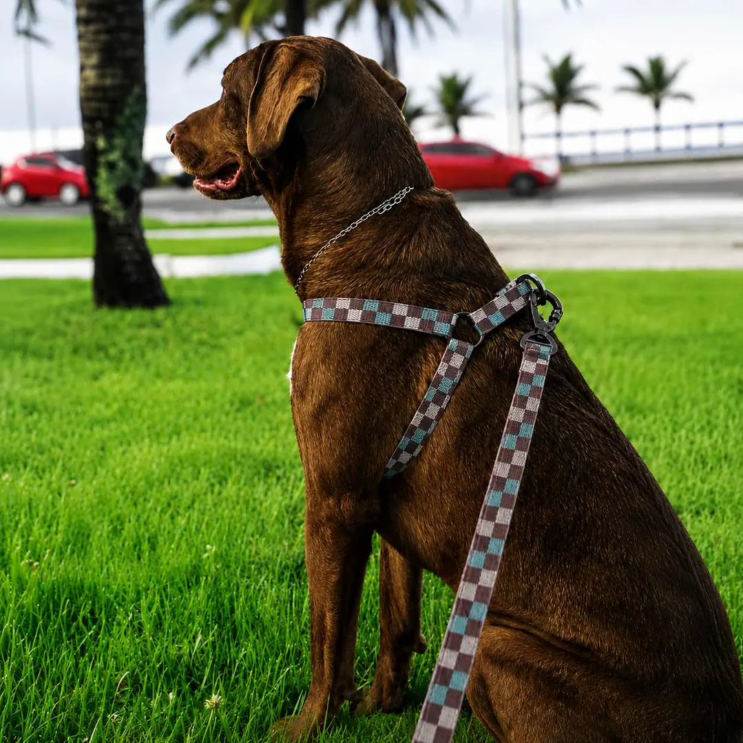 Arnés Deluxe Ajustable para Perros Talla L Cuadrillé 3
