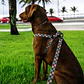 Arnés Deluxe Ajustable para Perros Talla L Cuadrillé - Miniatura 3