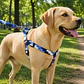 Arnés Deluxe Ajustable para Perros Talla L Celeste, Azul y Blanco - Miniatura 1