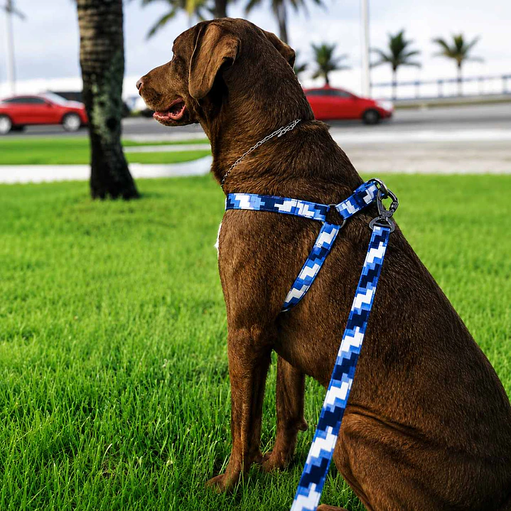 Arnés Deluxe Ajustable para Perros Talla L Celeste, Azul y Blanco 3