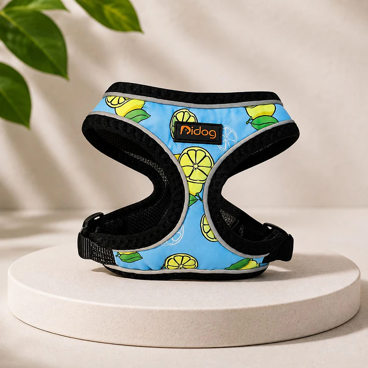 Arnés de pecho para Perros Talla XS Limones 2