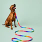 Correa para Perros 6mts Arcoíris - Miniatura 1