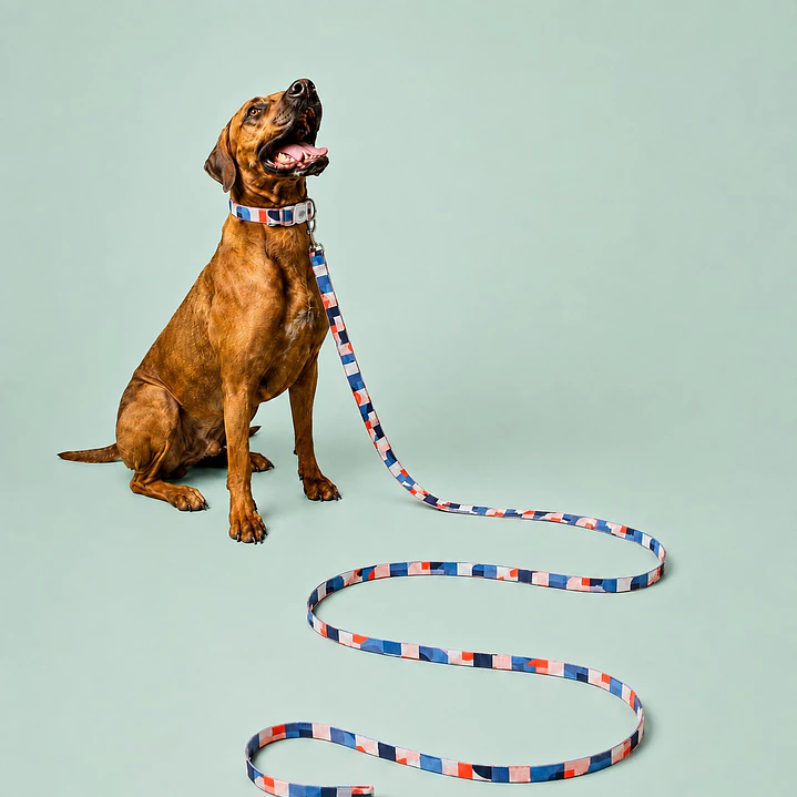 Correa para Perros 6mts Mosaico tricolor 1