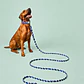 Correa para Perros 6mts Mosaico Azules - Miniatura 1
