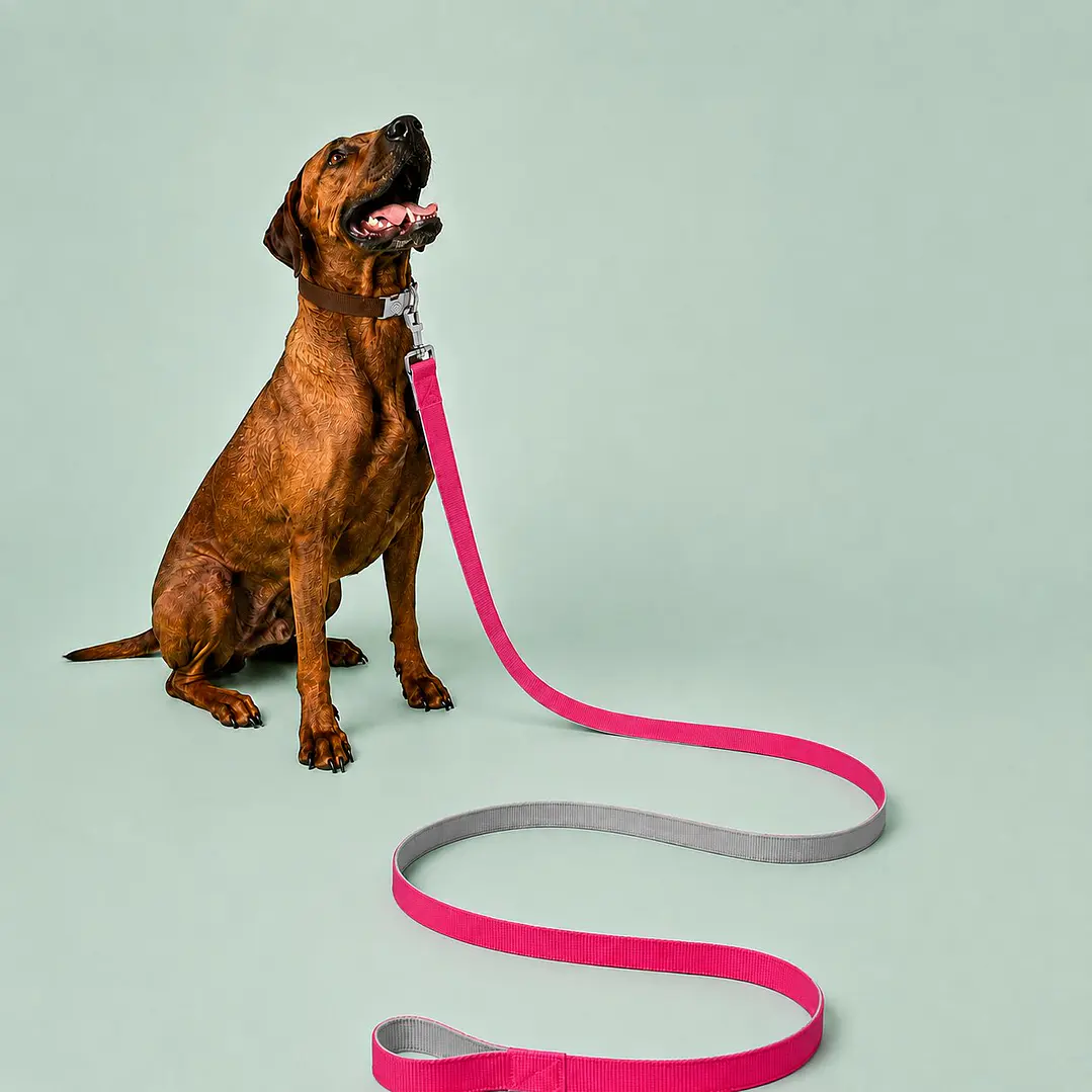 Correa para Perros 6mts Rosado y Gris 1