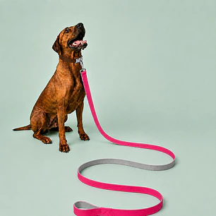 Correa Ancha para Perros 6mts Rosado y Gris