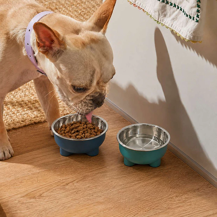 Plato Metálico Elevado con Base Plástica 15 cm para Mascotas 3
