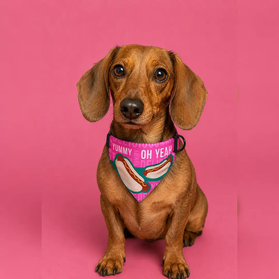 Bandana para Perros Talla M Diseño Hot Dog 1