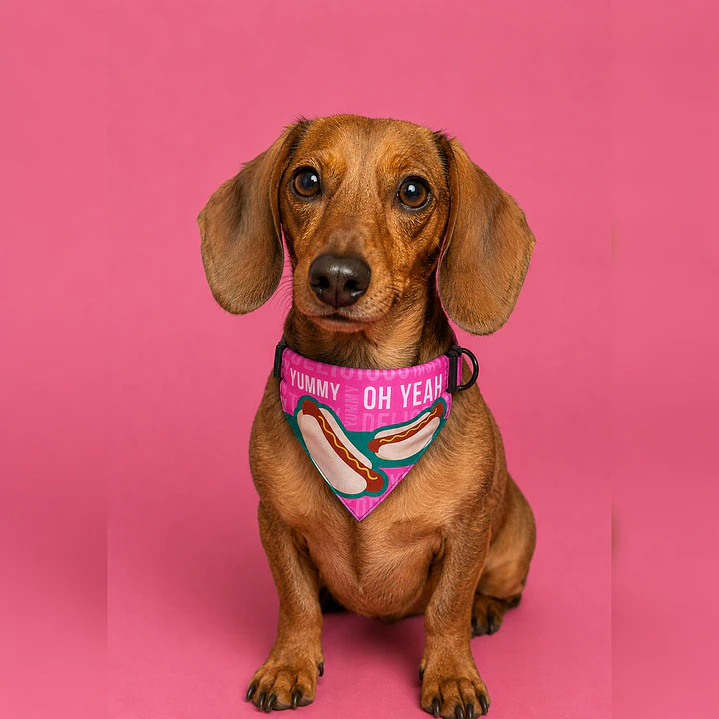 Bandana para Perros Talla M Diseño Hot Dog 1