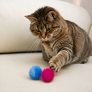Pelota Saltarina de Plástico para Gatos Talla S
