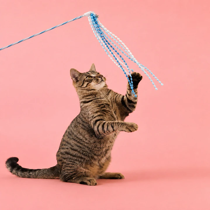 Varita Interactiva de Colores para Gatos 1