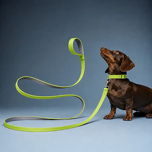 Correa para Perros 6mts Verde-Gris