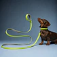 Correa para Perros 6mts Verde-Gris - Miniatura 1