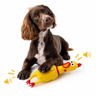 Juguete Pollo Chillón de Látex con Sonido para Perros