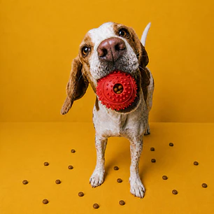 Pelota Porta Premios SnackKong Roja – Juguete Interactivo Mordedor para Perros