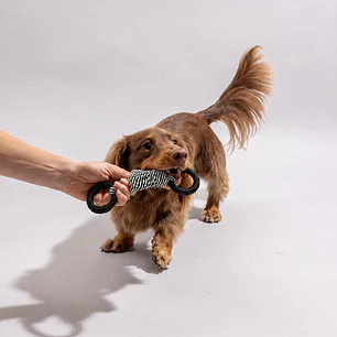 Juguete de Cuerda con Mangos para Perros