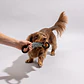 Juguete de Cuerda con Mangos para Perros - Miniatura 1