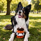 Peluche Pelota con Sonido Tipo Frisbee para Perros - Miniatura 1