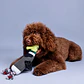 Peluche para Perros Tipo Pájaro - Miniatura 1