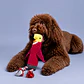 Peluche para Perros Tipo Pájaro - Miniatura 2