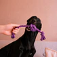 Juguete de Cuerda con Nudo para Perros - Miniatura 5