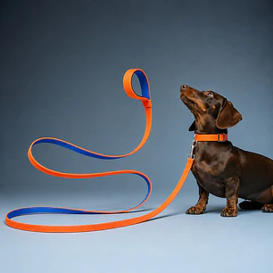 Correa para Perros 6mts Naranja-Azul