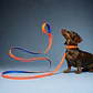 Correa para Perros 6mts Naranja-Azul - Miniatura 1