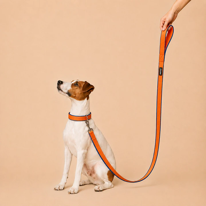 Correa para Perros 1,5mts Naranja-Azul 1