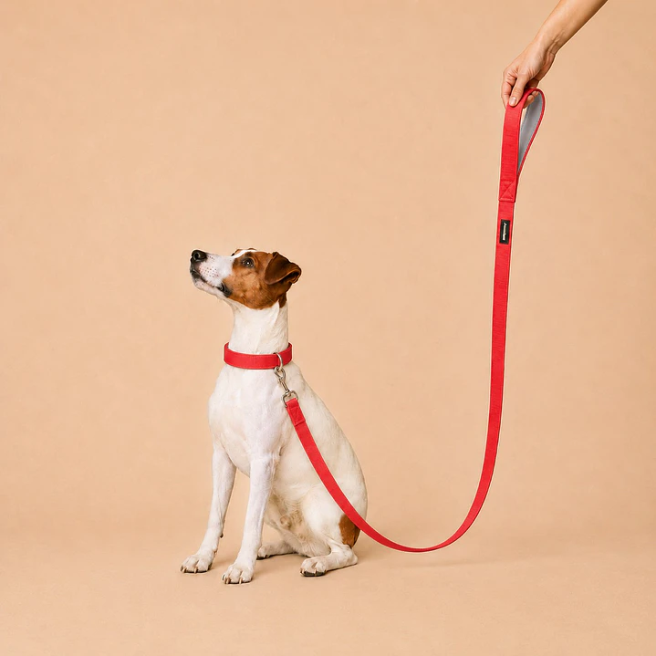 Correa para Perros 1,5mts Rojo-Gris 1