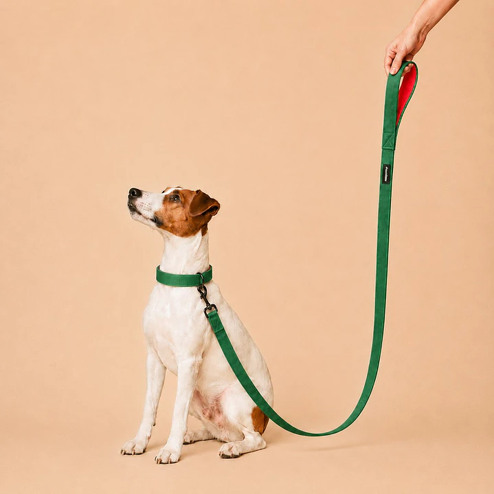 Correa para Perros 1,5mts Verde-Rojo 1
