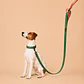 Correa para Perros 1,5mts Verde-Rojo - Miniatura 1