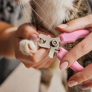 Corta Uñas Talla S para Gatos y Perros Pequeños
