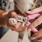 Corta Uñas Talla S para Gatos y Perros Pequeños - Miniatura 1