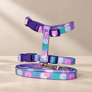 Set Arnés + Correa para Gatos Talla M – Lila