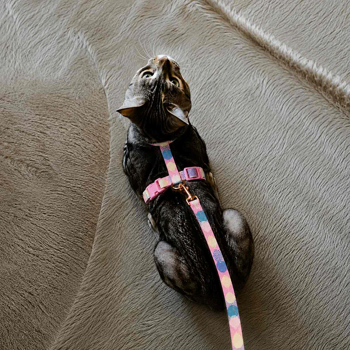 Set Arnés + Correa para Gatos Talla S – Rosada 2