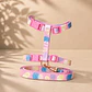 Set Arnés + Correa para Gatos Talla S – Rosada - Miniatura 1
