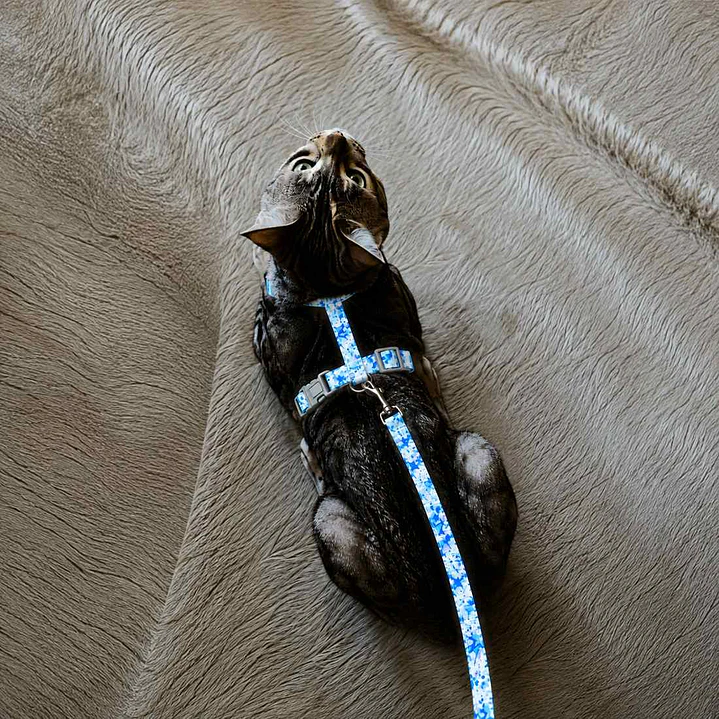 Set Arnés + Correa para Gatos Talla S – Estrellas Azules 2