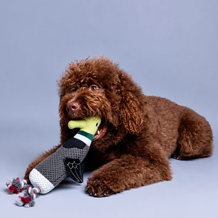 Peluche Pájaro con Cuerda para Perros – Gris