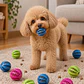 Pelota Porta Snacks Perro - Talla S - Miniatura 1