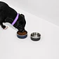 Plato Metálico para Mascotas 18 cm Talla L - Miniatura 4