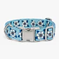 Collar Ajustable para Perros Talla M – Celeste con Flores - Miniatura 2