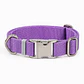 Collar Ajustable para Perros Talla M Lila - Miniatura 2