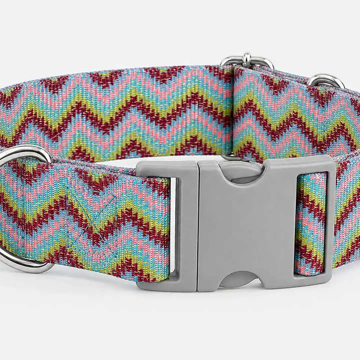 Collar Ajustable para Perros Talla 2XL – ZigZag Multicolor 2