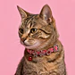 Collar Ajustable Talla XS – Estampado Rojo - Miniatura 3