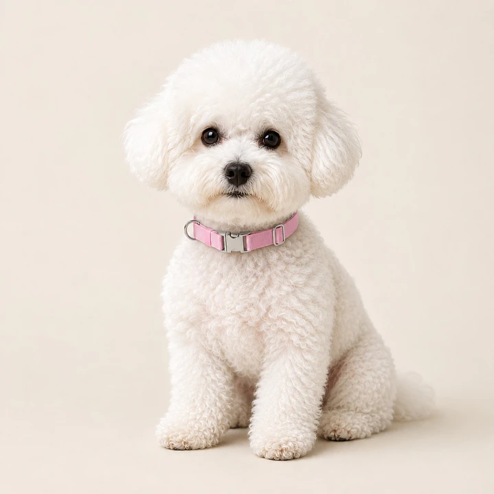 Collar Ajustable para Perros Talla S Rosado 1