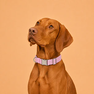 Collar Ajustable para Perros Talla L Rosado