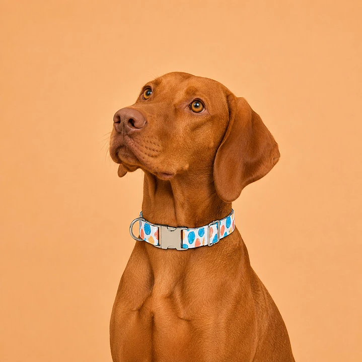 Collar Ajustable para Perros Talla L Manchas 1