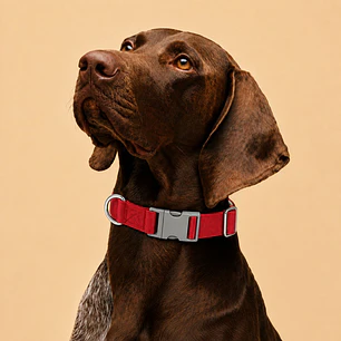 Collar Ajustable para Perros Talla XL Rojo