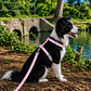 Set Arnés de Tela para Perros Talla L Rosado - Miniatura 3