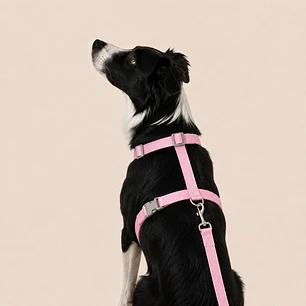 Set Arnés de Tela para Perros Talla L Rosado